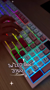 BASIKE คีย์บอร์ดเล่นเกมแบบมีสาย USB C พร้อมไฟแบ็คไลท์ RGB 98 คีย์ คีย์บอร์ดพื้นฐานสำหรับสำนักงาน พร้อมปุ่มมัลติมีเดียสำหรับแล็ปท็อป เดสก์ท็อป แมคบุ๊ค แท็บเล็ต