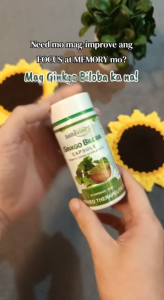 Bellevine Ginkgo Biloba Capsules 500mg 60s | Mental Focus Memory & Brain Health Support Supplement | Rich in Flavone Glycosides for Healthy Blood Flow Nervous System & Cognitive Support