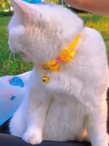 Kalung Kucing ikatan kupu-kupu Adjustable Lonceng Cat Collars Aksesori Hewan Peliharaan