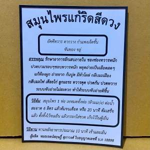 สมุนไพรแก้ริดสีดวง