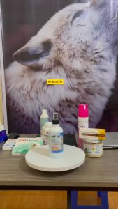 Chai Xịt Ve Fay Pet 300ml Loại Bỏ Rận Bọ Chét Chó Mèo Phòng Nấm Ngứa Viêm Da Cho Thú Cưng ( Tặng 2 Viên Tẩy Giun Sanpet Khi Mua Chai Xịt Ve )