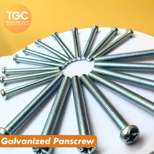 TGC 10PCS M10 ( 10mm ) x 16~100mm Roundhead | JP Bolt Stove Bolt | Galvanized Round Head Machine Bolt GI