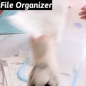Penyimpanan Berkas Praktis: YooWoo File Organizer