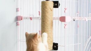 เชือกแมวฝนเล็บ เชือกมะนิลาแมว เชือกแมว เชือกป่าน ชือกมะนิลา เชือกปอ ที่ลับเล็บแมว เชือกลับเล็บแมว เชือกคอนโดแมว อุปกรณ์เลี้ยงแมว