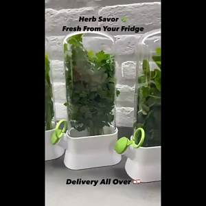 Ready Stock - Herb Savor ECO – Keep Herbs Fresh Longer Simple & Eco-Friendly Design