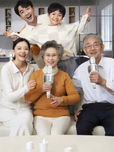 MEINIAO | K Karaoke Intelligent Microphone with Speaker