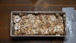 เหยื่อกำจัดปลวก Exo termite bait รุ่น 180 กรัม +กล่องสถานี 1 ใบ