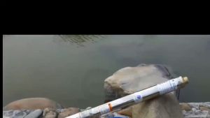 2HP Submersible Pump Household High Lift Stainless Steel 75mm Deep Well Suction Water Pump 524ft 19GPM