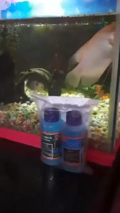 Penjernih Air Akuarium: Pemilihan & Penggunaan