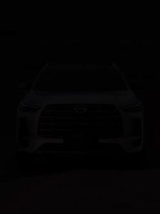 MLZH | Car Compatible Cargo Cover