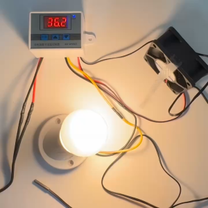 Máy Ấp Trứng Gà Tự Động Máy Ấp Trứng Thông Minh Điều Tiết Nhiệt Độ Chuẩn Xác Giúp Tỉ Lệ Nở Cao