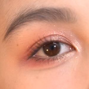 FOCALLURE FA167 High Palate Catrice Eyeshadow Palette Eye Makeup Shimmer Matte 9 shades Waterproof Sweat Proof