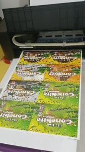 Cone Bites Snacks BIG BOSS Package Drumstick Ice Cream Cone Tip Dessert Premium Flavors