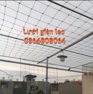 Lưới Làm Giàn Leo Lưới Giàn Mướp Dây Leo Giàn Màu Trắng - Giá Rẻ Nhất Thị Trường