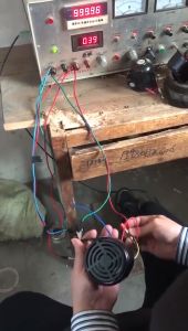 Talking Back Up Horn Auto Voltage 12V/24V Speaking in English