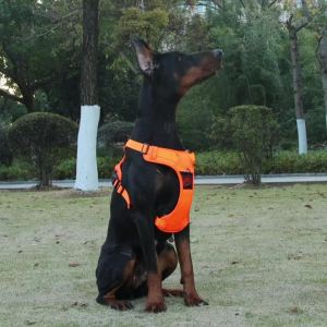 Pet chest harness Vest reflective dog leash Explosion-proof Impact Tactics Chest Harness Large dog chest harness