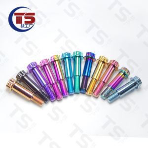 Titanium Alloy Screw Step Shock Absorption TS Titanium Work E125/E200P Aftermarket M8X45/M8X40 TC4 Hardware Fasteners Bolts