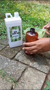 HERBISIDA Cairan Pembasmi Rumpput liar / Racun Rumput Liar 5 LITER mati sampai akar Bonus Spray 250Ml Botol Garansi Penjual 1 Bulan Model Bibit Racun Rumput - Lazada