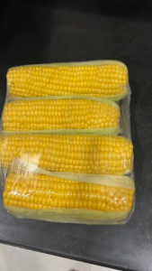 SWEET CORN Seeds (Honey Queen) High quality vegetable