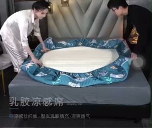 Chiếu điều hòa cao su non chiếu cao su non bo chun bọc đệm từ 10cm đến 25cm tặng kèm 2 vỏ gối cùng mầu