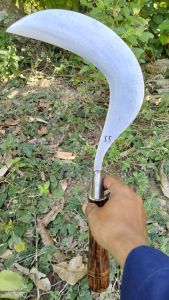 arit asli Madura dijamin tajam dan kuat anti rompal dan mleot