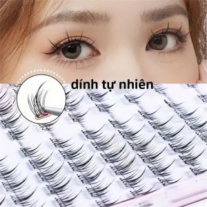 96 Chùm Lông Mi Giả Hướng Dương Tự Nhiên Dung Tích Lớn 8 Hàng Không Cần Keo Tóc Tổng Hợp Nhựa Trong Suốt Dụng Cụ Làm Đẹp Tự Làm