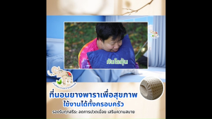 (จำกัดการซื้อ 1 เซต/1 ออเดอร์) ช้างไทย ที่นอนยางพาราอัด ที่นอนพับได้ 4 ตอน ขนาด 3 ฟุต พร้อมของแถมพิเศษ ที่นอนเพื่อสุขภาพ ที่นอนปิคนิค ที่นอนพกพา