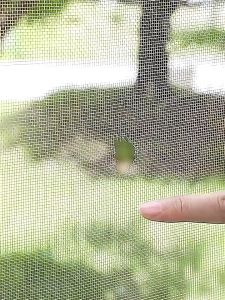 Lakban Kawat Model Jaring Anti Nyamuk & Isolasi Perekat Kasa Anti Serangga