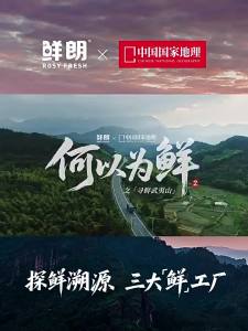 XIANLANG | Low Temperature Baked Cat Food For All Stages