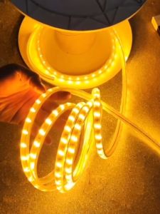 IP65 Waterproof Light 220V Warm/Cold/ Tricolor Strip Lights Indoor Lamp for Room Home Strip Lights Indoor Outdoor Lights