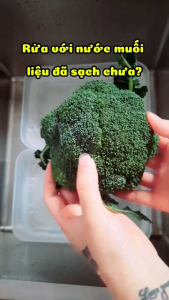 Nước Rửa Rau Củ Nước Ngâm Rau Nước Rửa Thực Phẩm GreenFresh Hakinika 1000ml – Loại dư lượng hóa chất ấu trùng