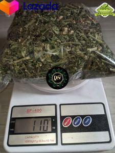 PROMO / Teh Daun Katemas kering Daun Sena Kering Pembersih Usus (100=gram) Kualitas Premium