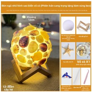 Đèn Ngủ DIY Sáng Tạo Hình Vỏ Sò và Sao Biển