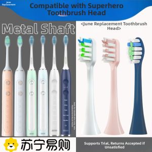 June Sixth Initial Electric Toothbrush Head Replacement for RT860/861/862/897/898/B60 Adult Gum Care Normal Specification
