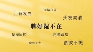 [SG READY STOCK] Five-Finger Peach Poria Jelly Grass Tea/Remove Dampness (250g/50BAGS) 五指毛桃茯苓仙草茶 茯苓薏米陈皮量贩三角包 - 清热解毒祛湿