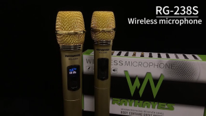 RAYHAYES Wireless Microphone Bluetooth Dual Handheld UHF Professional Karaok Microphone for Party Gifts