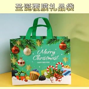 [Ship From Manila] 5Pcs Merry Christmas Gifts Bags Thickened Non-woven Fabric Xmas Printed Tote Bag New Year Shopping Bag Handbag Santa Claus Snowman Elk Printed Gift Packaging Bag