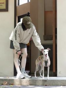 HamshMoc Dog Leash Strong Rope Leather Grip 360 Swivel Secure Lock Outdoor Use