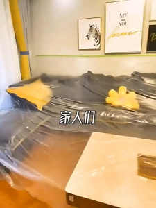 Ready Stock - Multifunctional Furniture Dustproof Film · Thickened PE · Static Cling Adhesive