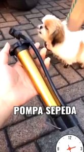 ( MY ACC ) Pompa Angin Ban Sepeda Balon Kasur Bantal Renang Angin Mini Portable