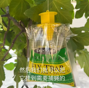 HWN ถุงดักแมลงวัน กำจัดแมลงวัน ถุงกำจัดแมลงวันอเนกประสงค์ ถุงสำหรับดักจับแมลงวัน ที่ดักแมลงวัน ปลอดภัย ไร้สารพิษ