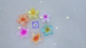 Kẹp tóc nữ hàn quốc cute phụ kiện bé gái gắp tóc kẹp càng cua cào hoa sứ nhiều màu - thương hiệu Vợ Chồng Tôi