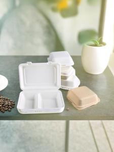 Eco-Friendly Disposable Paper Pulp Box Square Shaped Takeaway Food Packaging Integrated Box for Delivery Burger And Bento Box