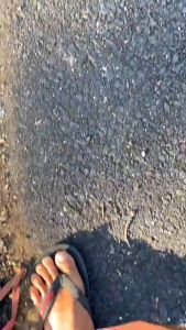 Batok Yamaha Champ Batok Buta / Batok Bolong Standar