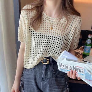 Draylen Korean Hollow for Women Short Sleeve Knitted Shirt Loose Round Neck Ice Silk Unique Mesh Blouse Croptops