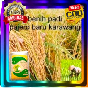 benih padi UNGGUL PAJERO BARU KARAWANG kemasan 5kg
