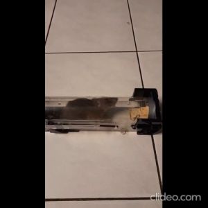 Perangkap Tikus Tanpa Membunuh Jebakan Mouse Trap Cage Kandang HU2050