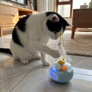 Teekland Tumbler Interactive Cat Toy Dual Track Balls with Bell Feather Light Up Solo Play Toy