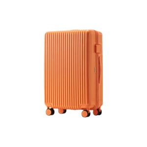 Diplomat | Iridescent Travel Luggage Set