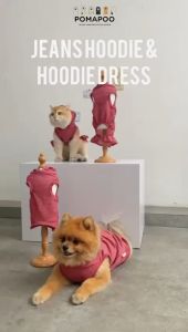 Jeans Hoodie & Hoodie Dress - Hoodie Kucing dan Anjing POMAPOO Premium Berkualitas